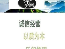 (微博/知乎)拉萨公司网站代做