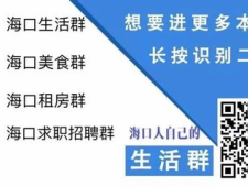 (微博/知乎)海口公司站群